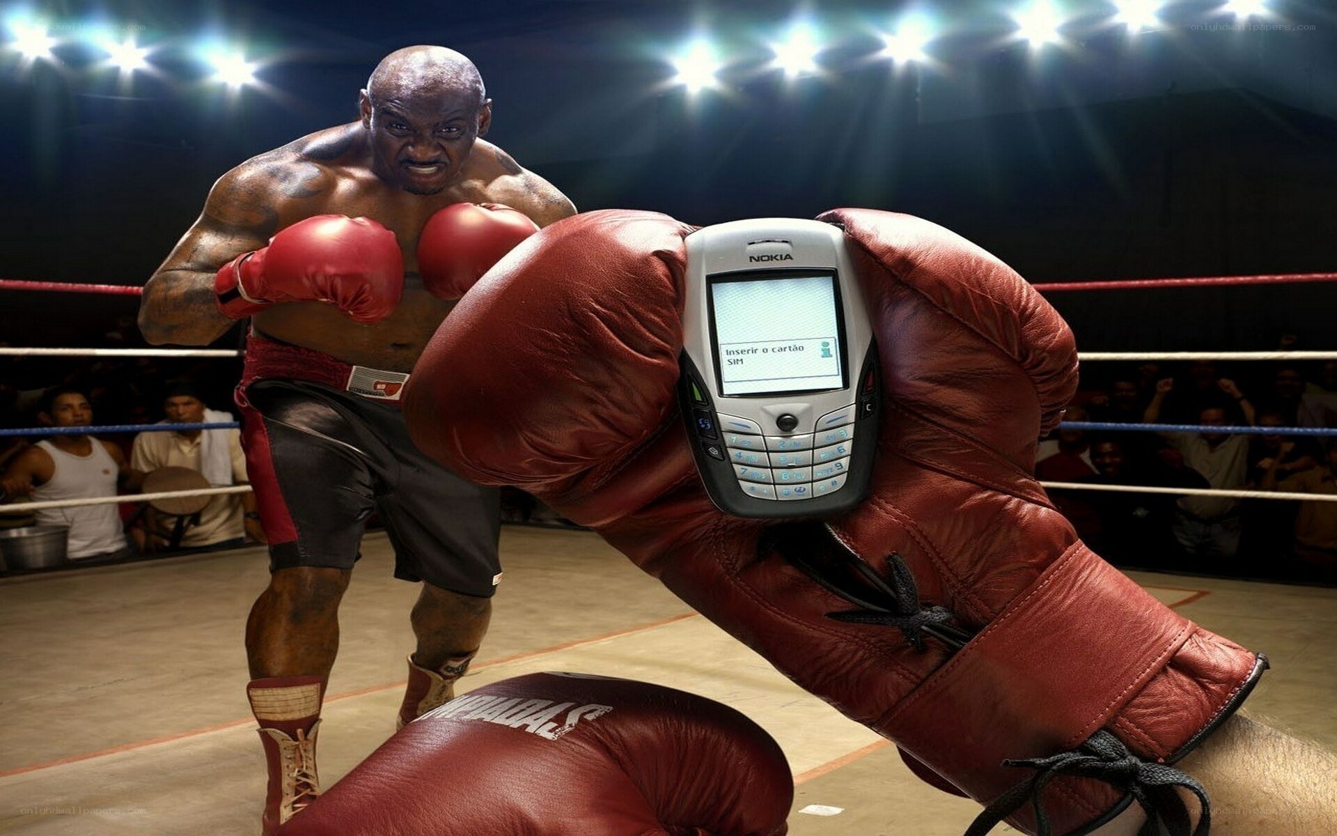 Boxer with phone in ring