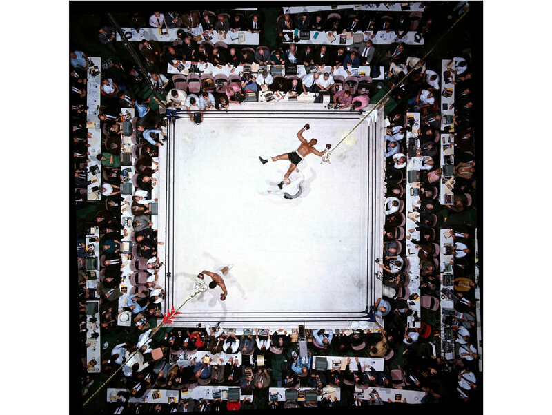 Boxers in Ring — White, Intense