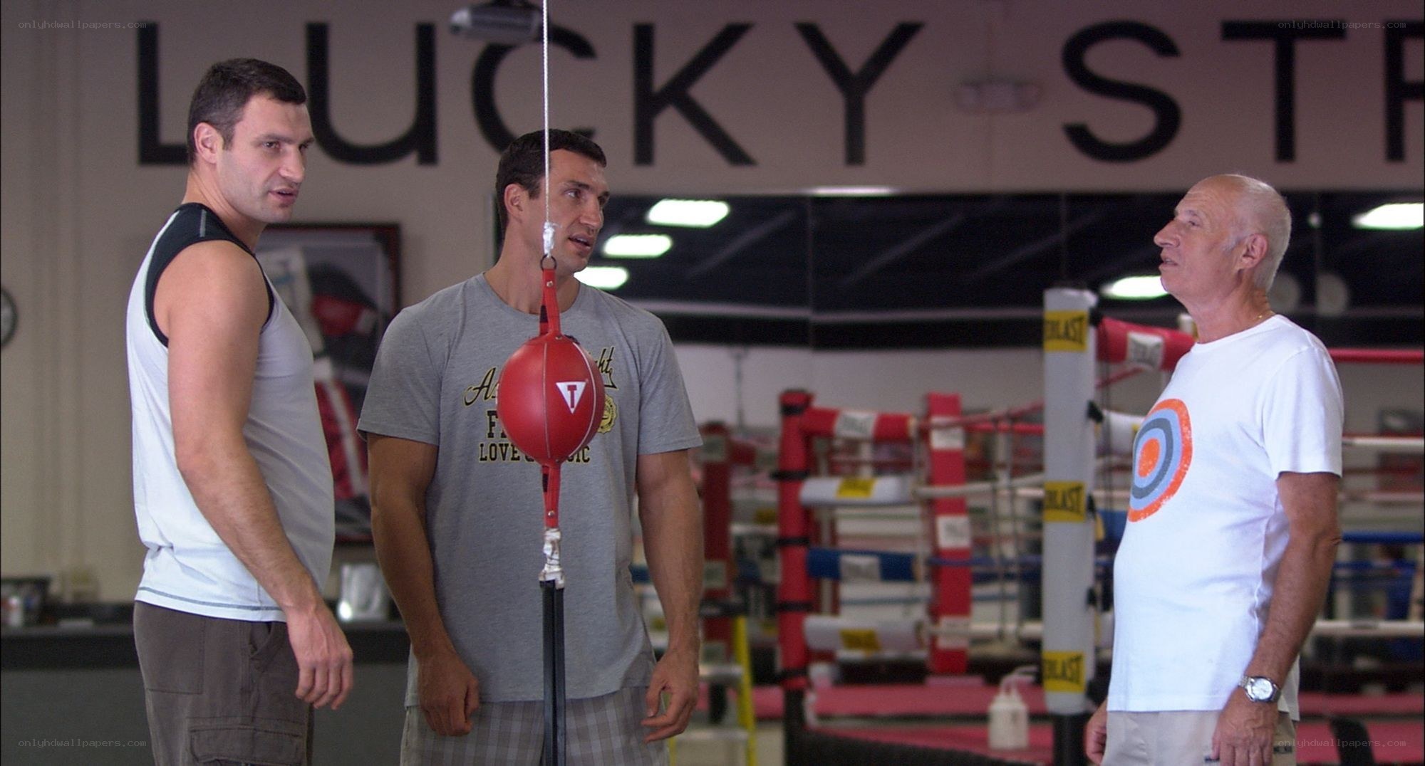 Boxers in training at a gym