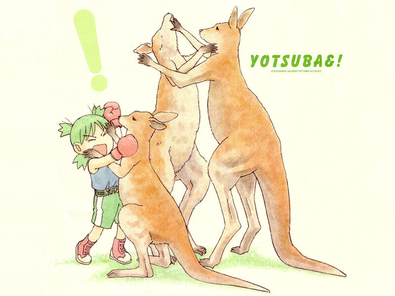 Boxing kangaroos and a girl
