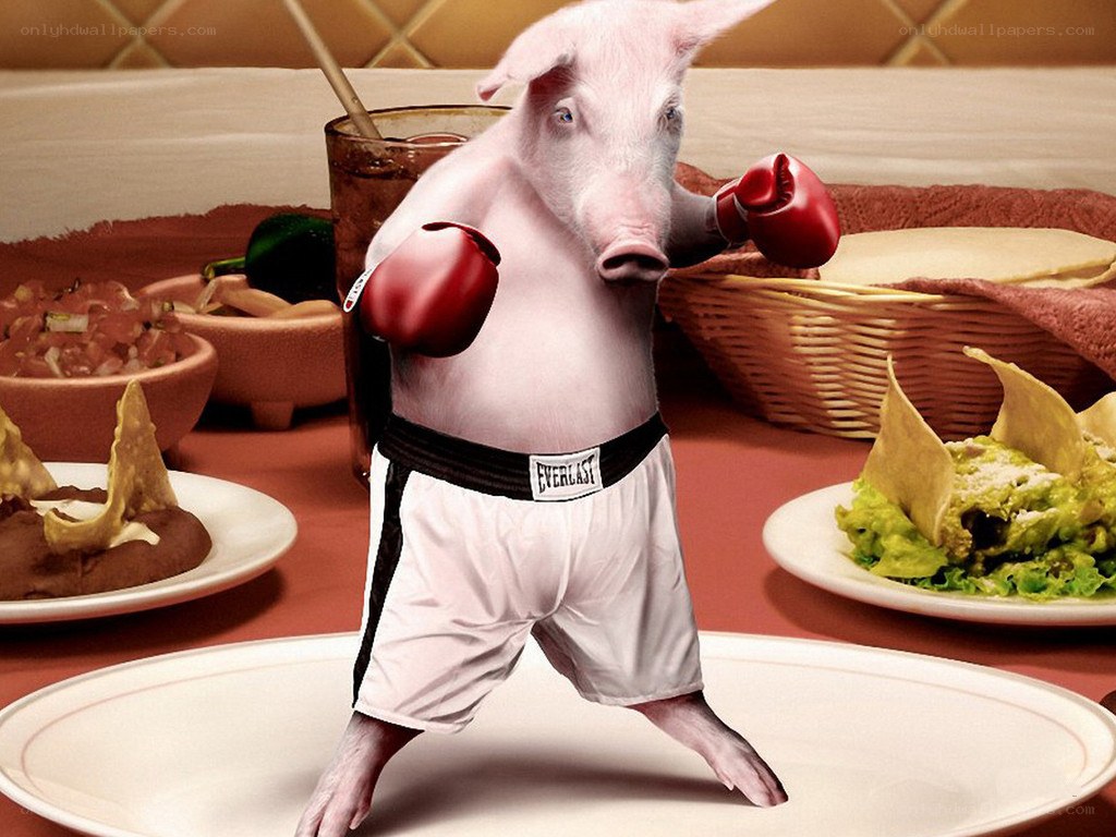 boxing pig at a dinner table
