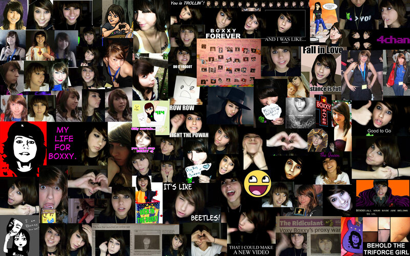 Boxxy fan collage