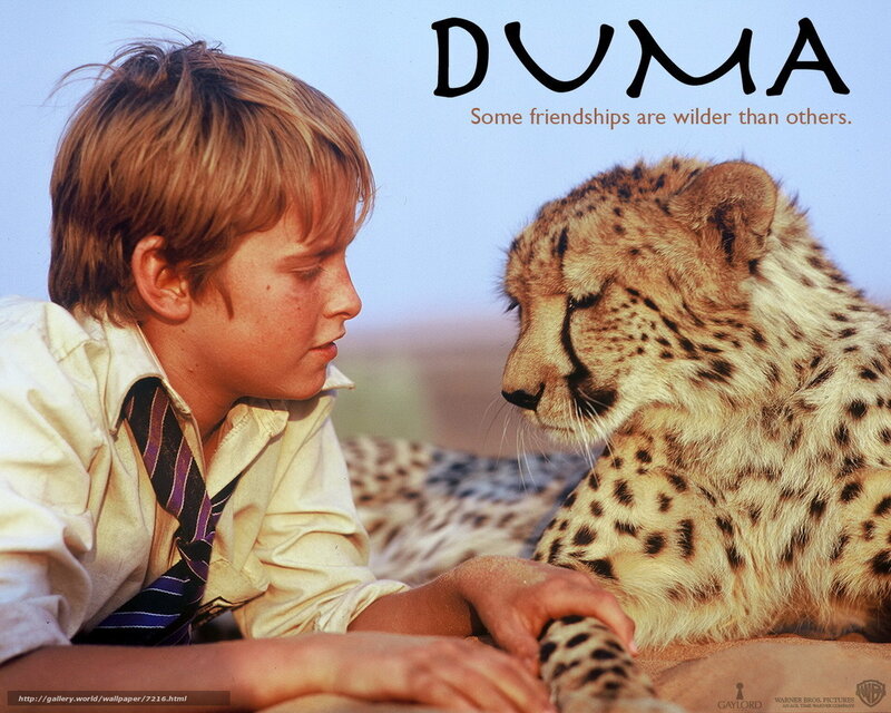 boy and cheetah friendship