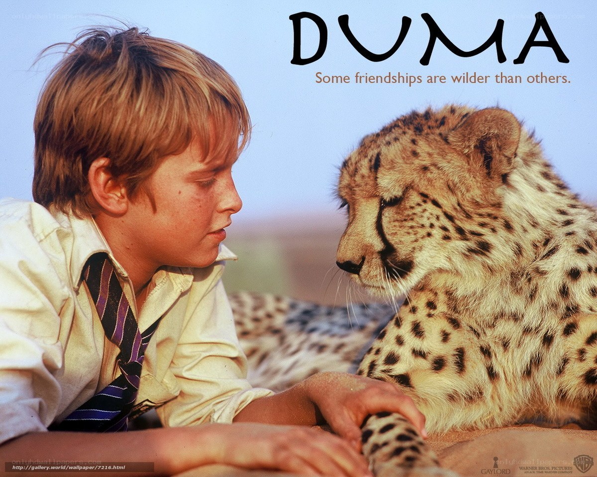 boy and cheetah friendship