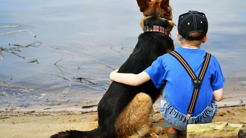Boy and Dog by Water — Blue, Calm