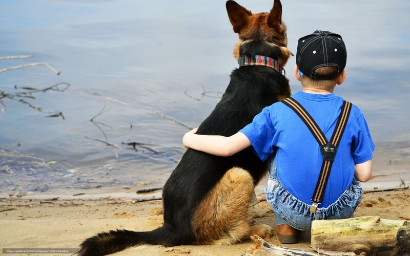 Boy and Dog by Water — Blue