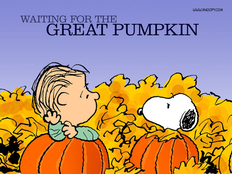 Boy and Dog in Pumpkins