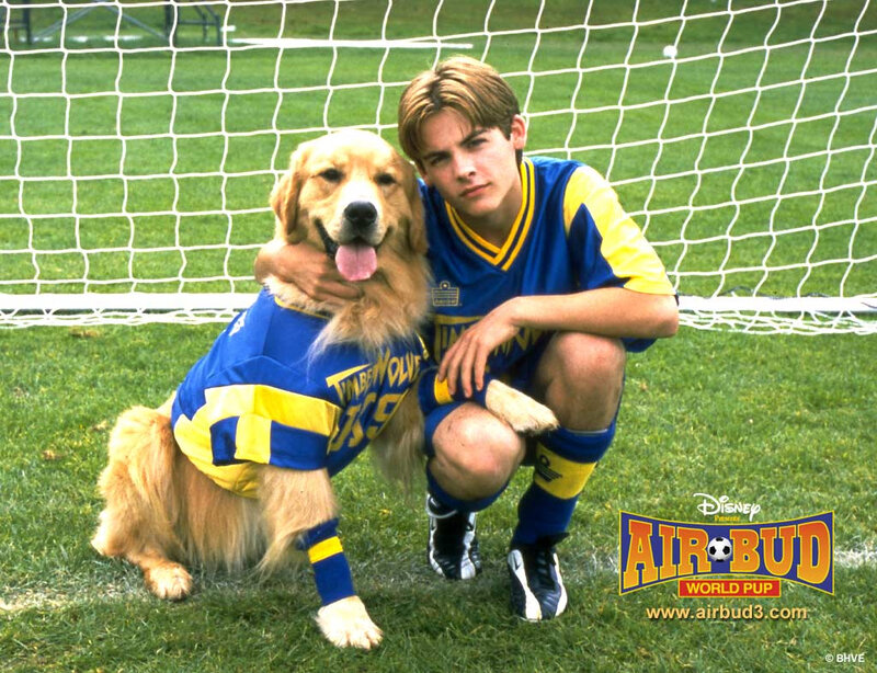 Boy and Dog in Soccer Uniforms