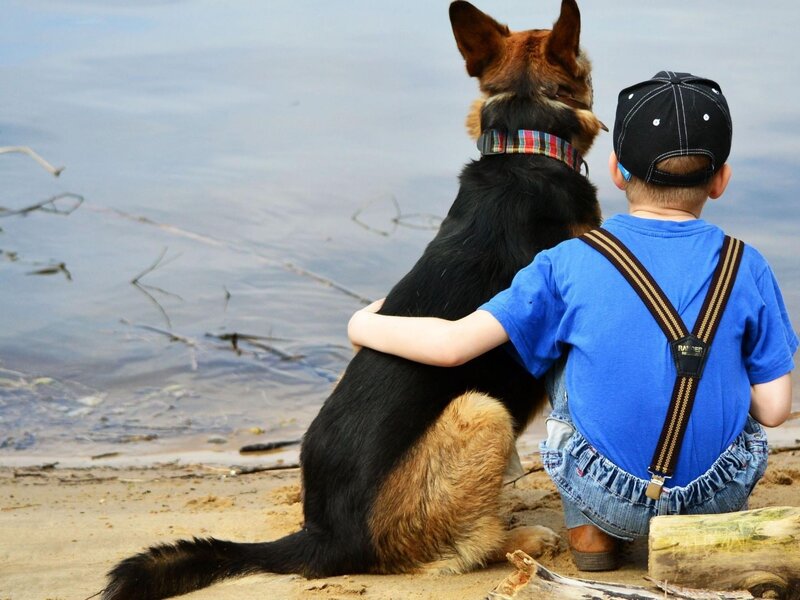 Boy and Dog on Beach — Blue, Calm