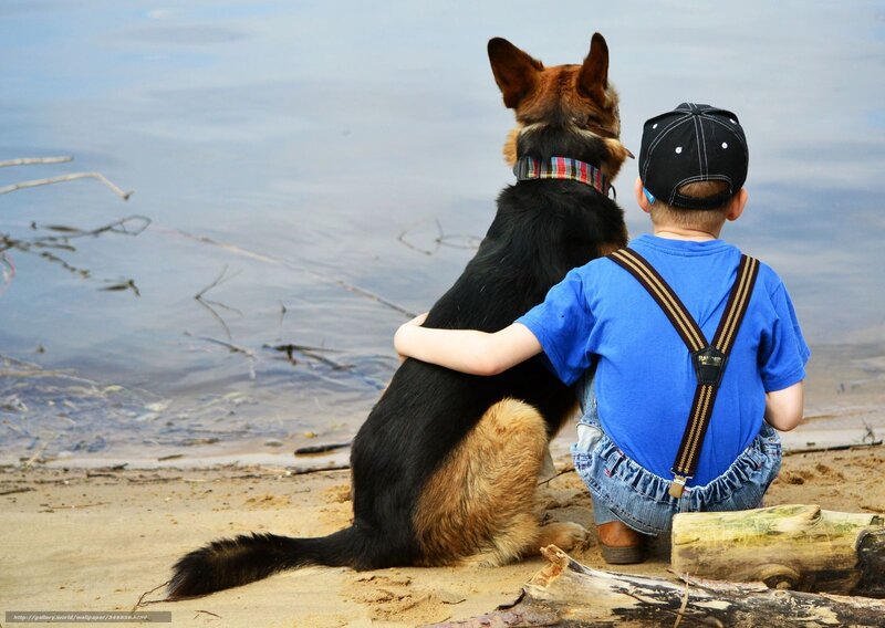 Boy and Dog on Beach — Blue, Serene