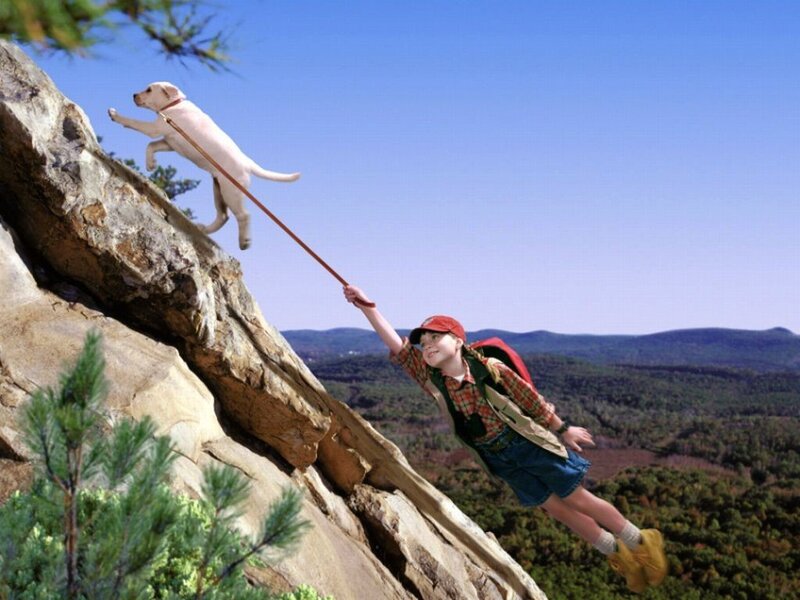 Boy and Dog on Cliff