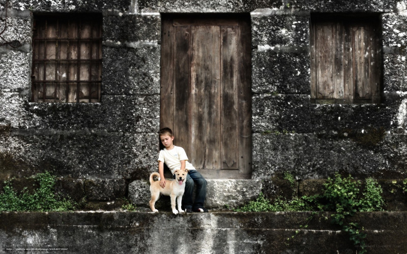Boy and dog on steps