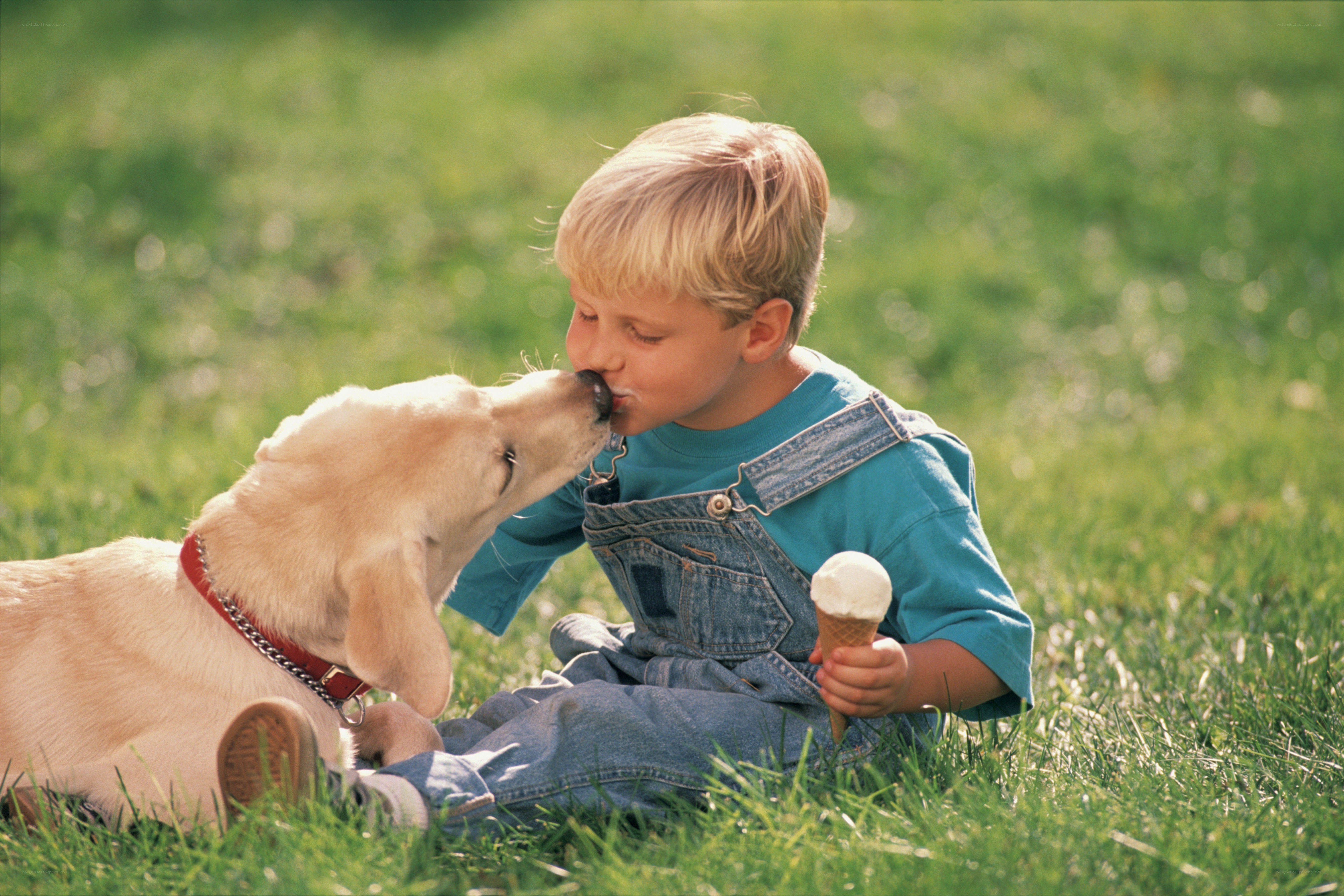 boy and dog sharing ice cream