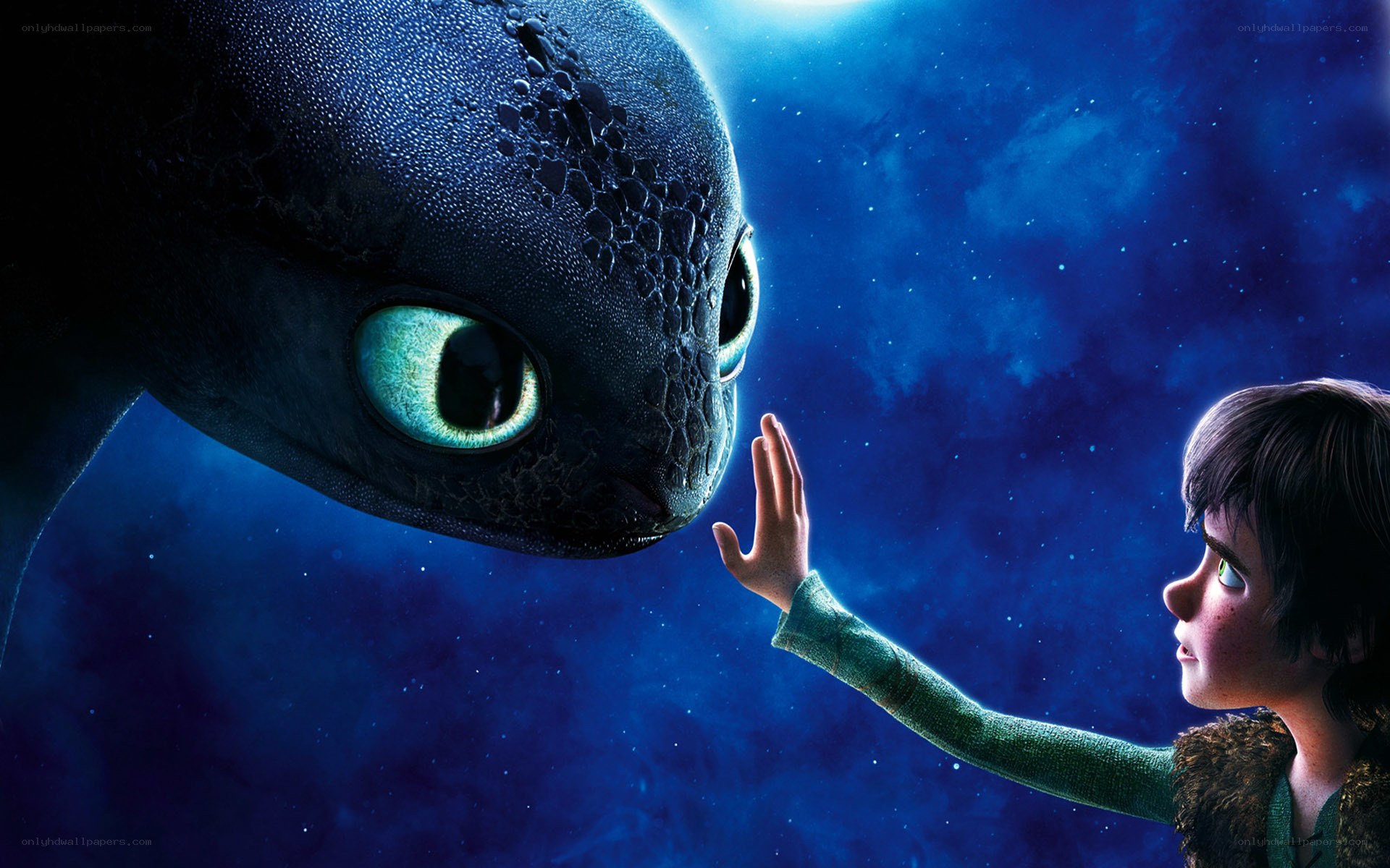 boy and dragon friendship