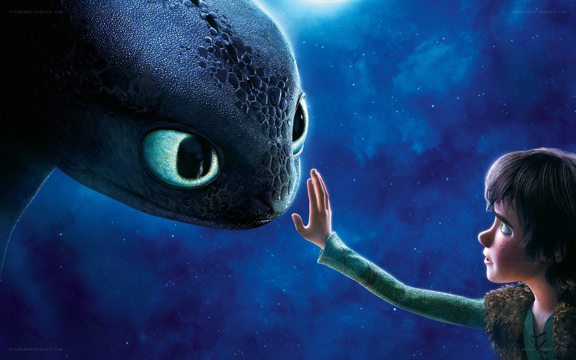 boy and dragon friendship