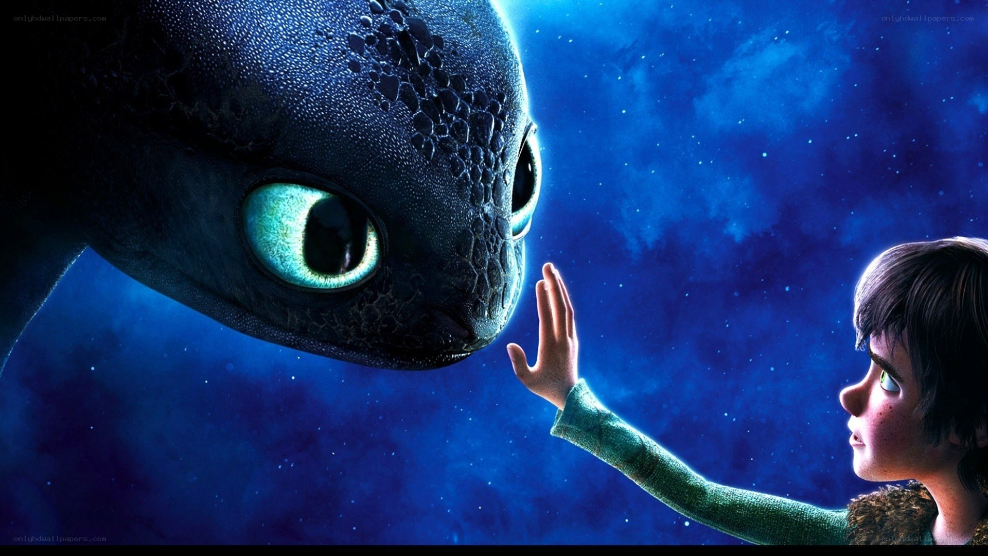 boy and dragon meeting