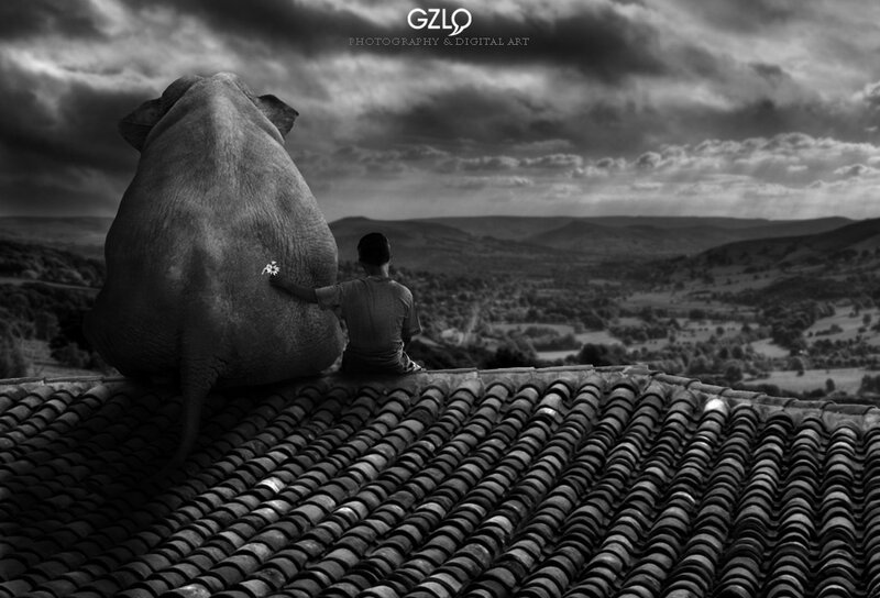 Boy and Elephant on Roof