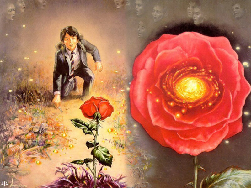 boy and glowing rose