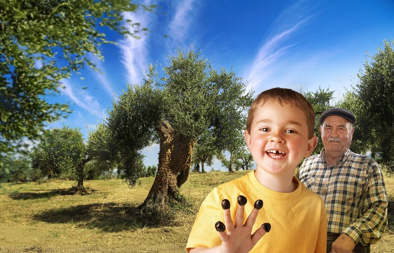 boy and grandfather in olive grove