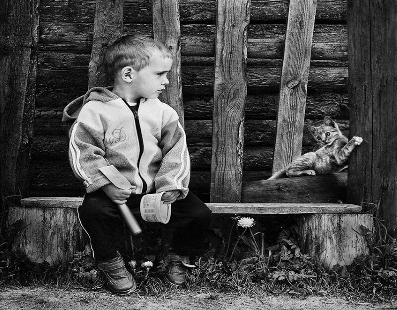 Boy and Kitten