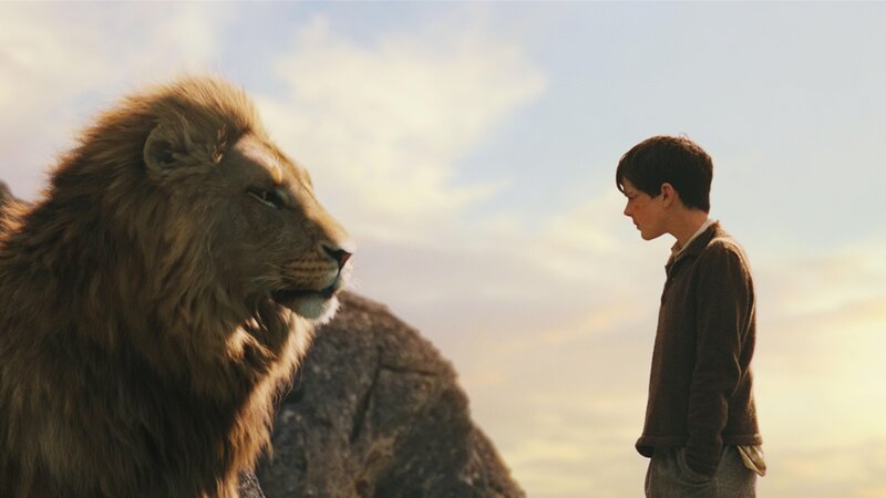 boy and lion on a hill
