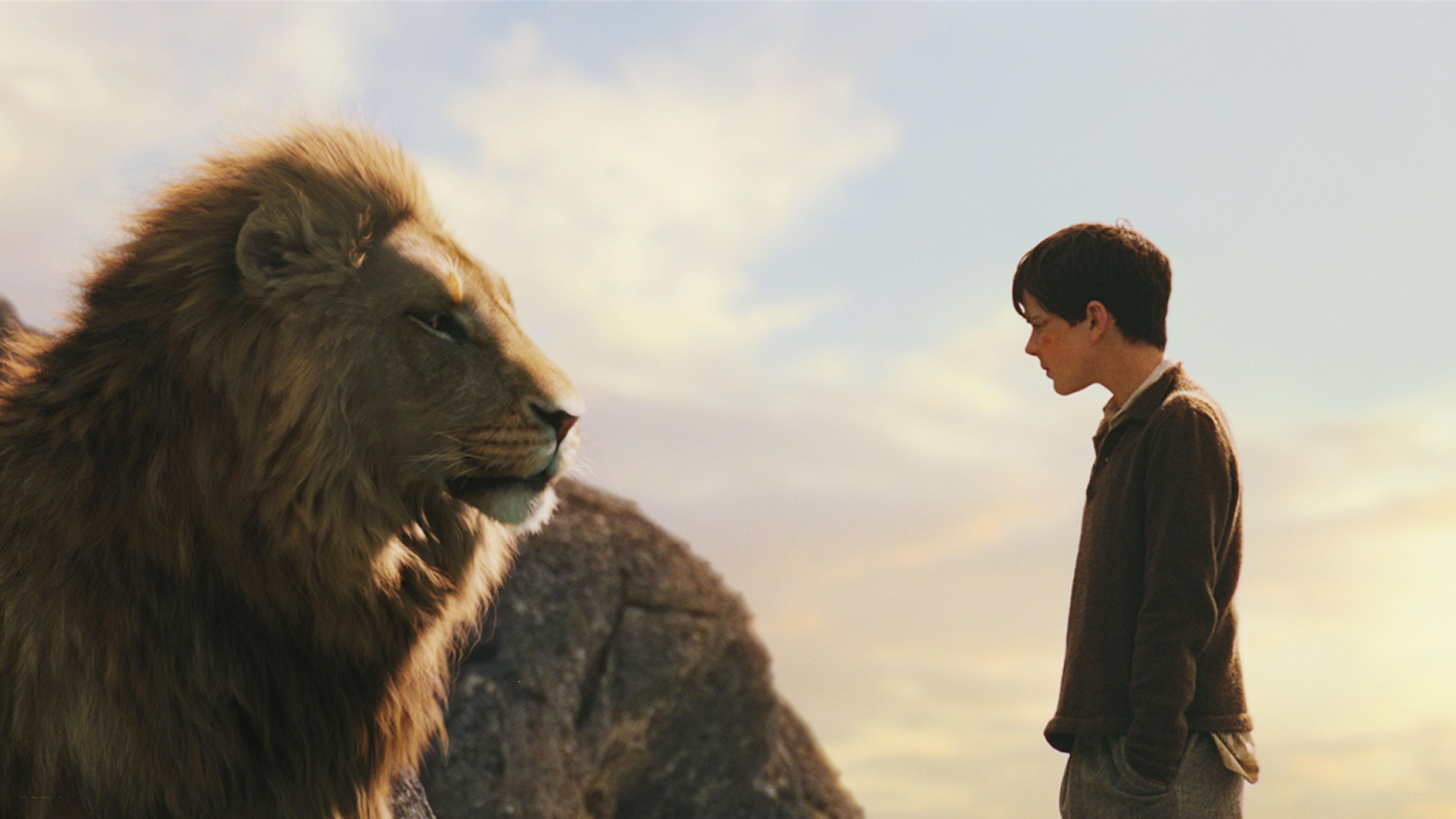boy and lion on a hill