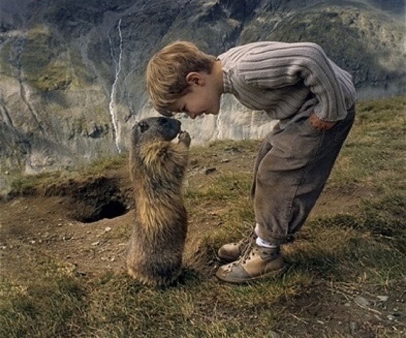 Boy and Marmot