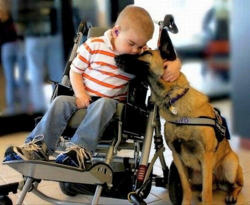 Boy and Service Dog