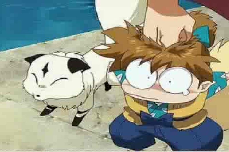 Boy and Small Animal