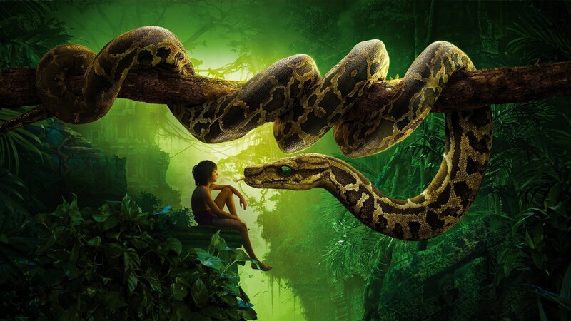 Boy and Snake in Jungle