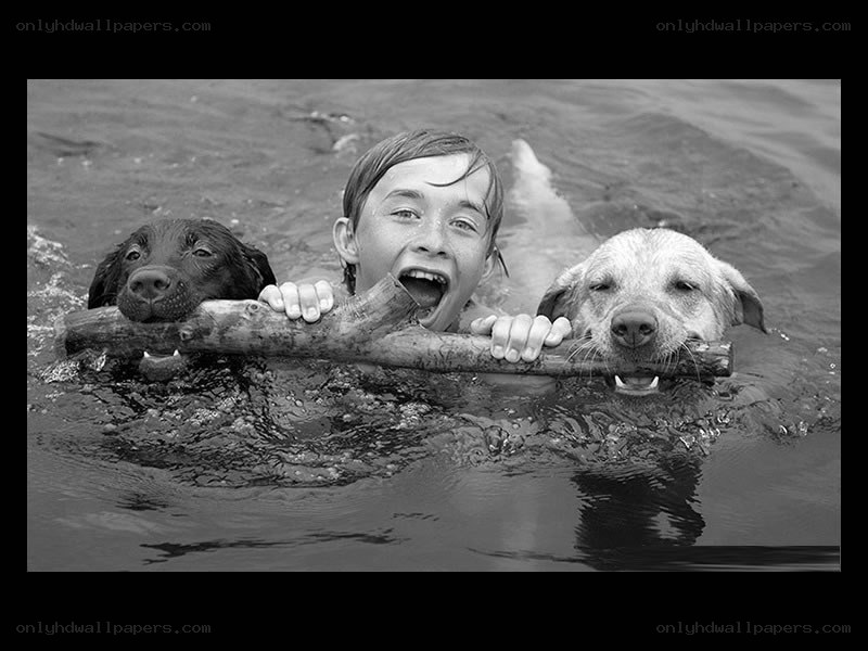 boy and two dogs swimming with stick