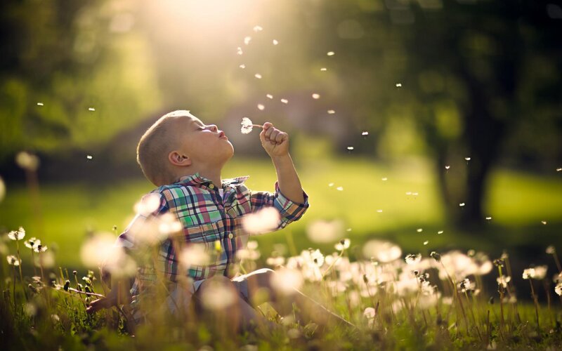 Boy Blowing Dandelion — Green