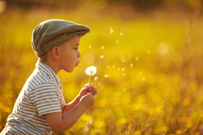 Boy Blowing Dandelion — Yellow, Serene