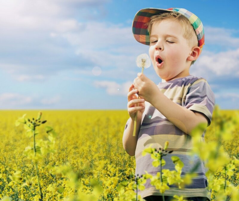 Boy Blowing Dandelion — Yellow
