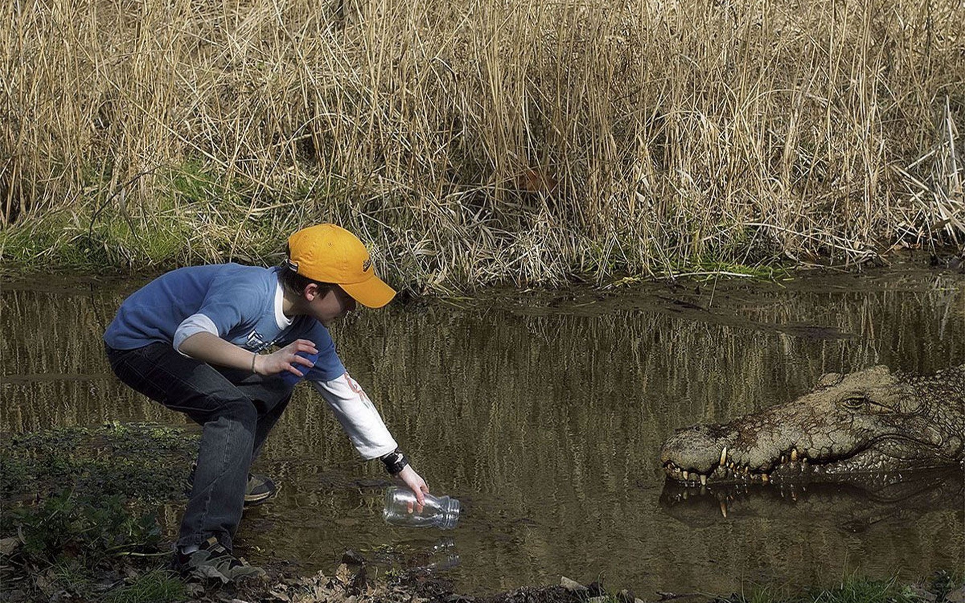 Boy feeding crocodile in pond