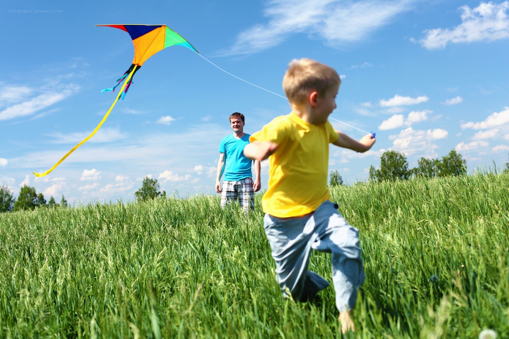 Boy flying kite in field