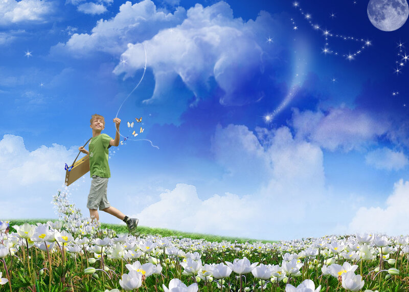Boy flying kite in flower field