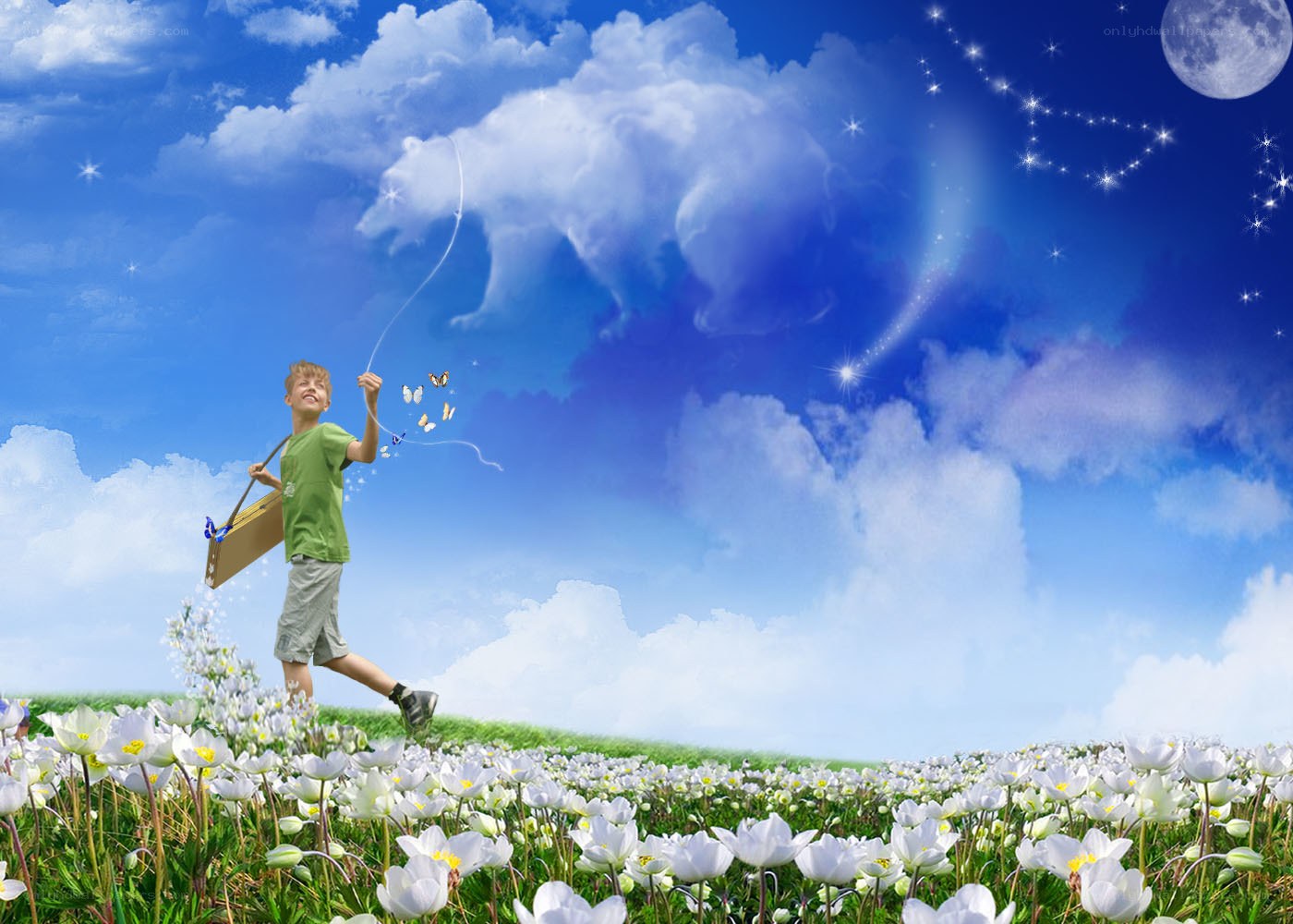 Boy flying kite in flower field