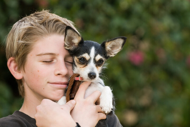 Boy Holding Small Dog
