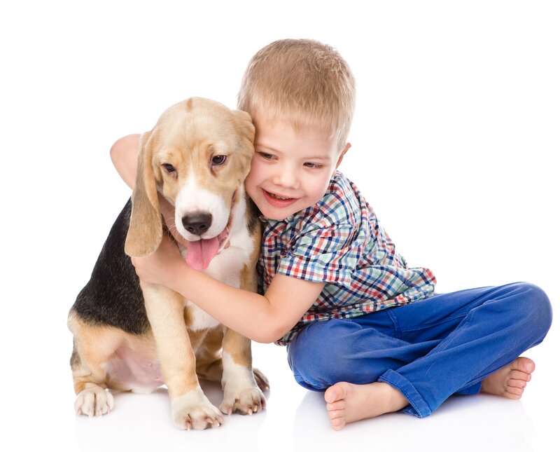 Boy Hugging Beagle Puppy