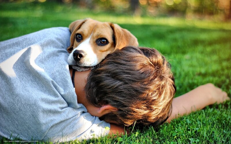 Boy Hugging Beagle