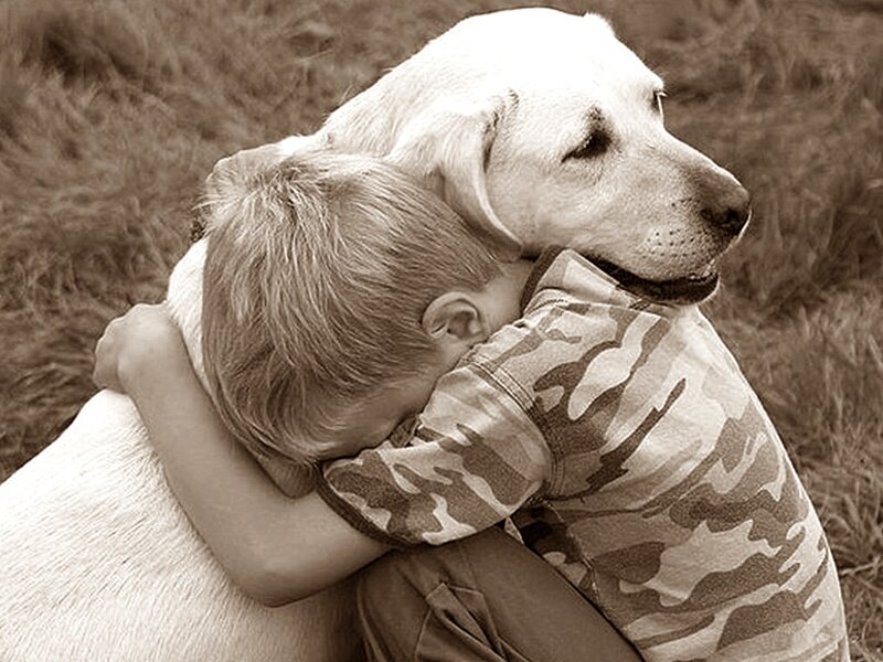 Boy Hugging Dog — Brown