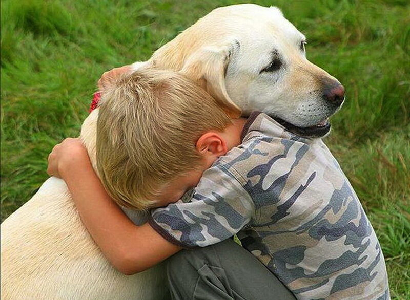 Boy Hugging Dog — Green, Peaceful, Afternoon, Photograph