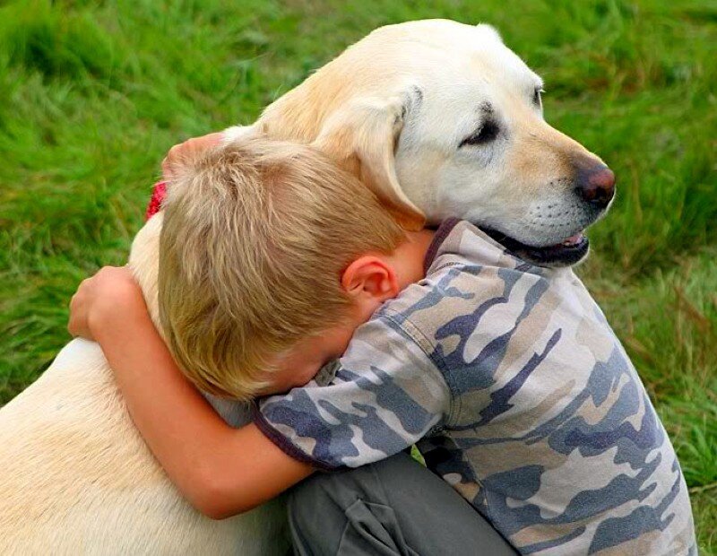 Boy Hugging Dog — Green, Peaceful, Afternoon
