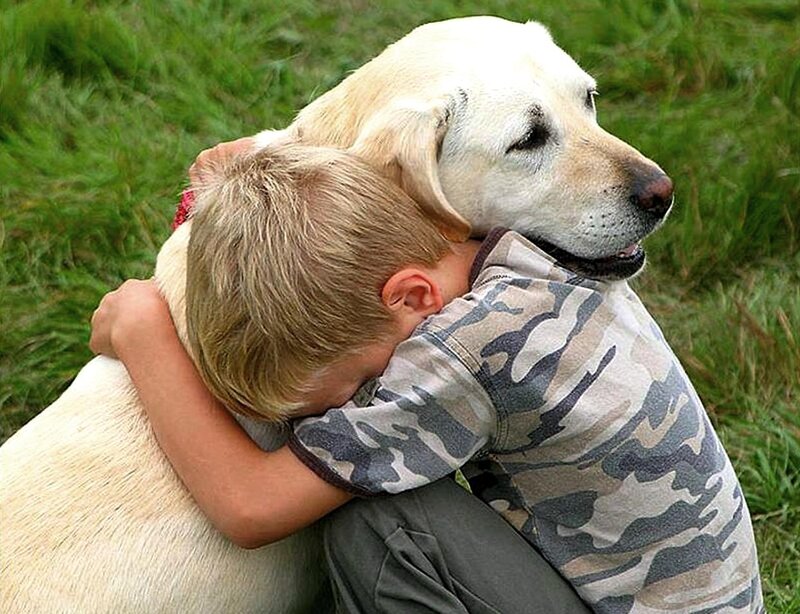Boy Hugging Dog — Green, Peaceful