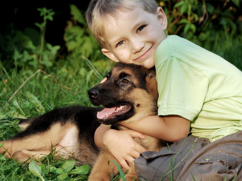 Boy Hugging German Shepherd Puppy — Green, Peaceful