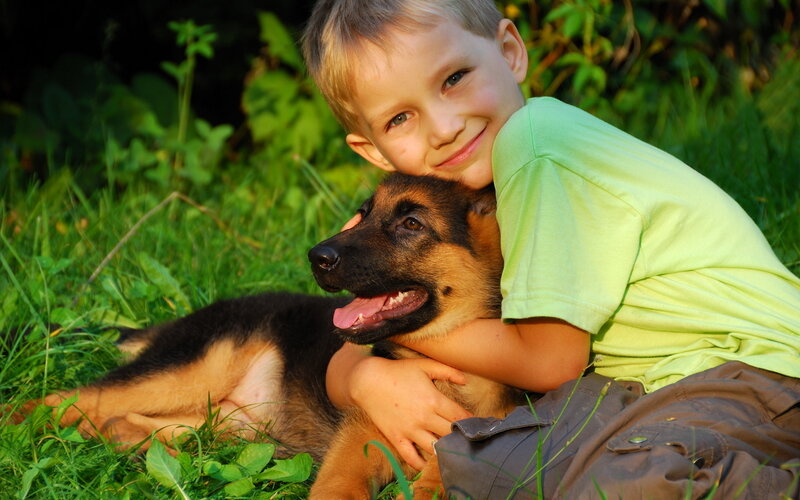 Boy Hugging German Shepherd Puppy — Green