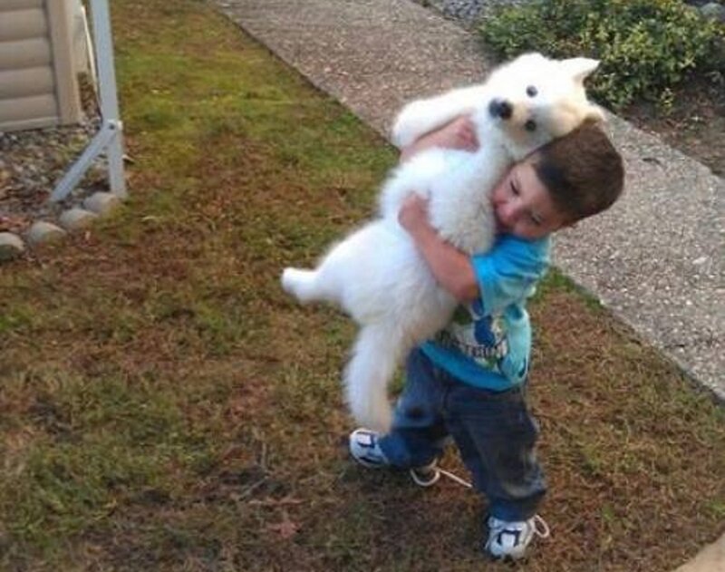 Boy Hugging White Dog
