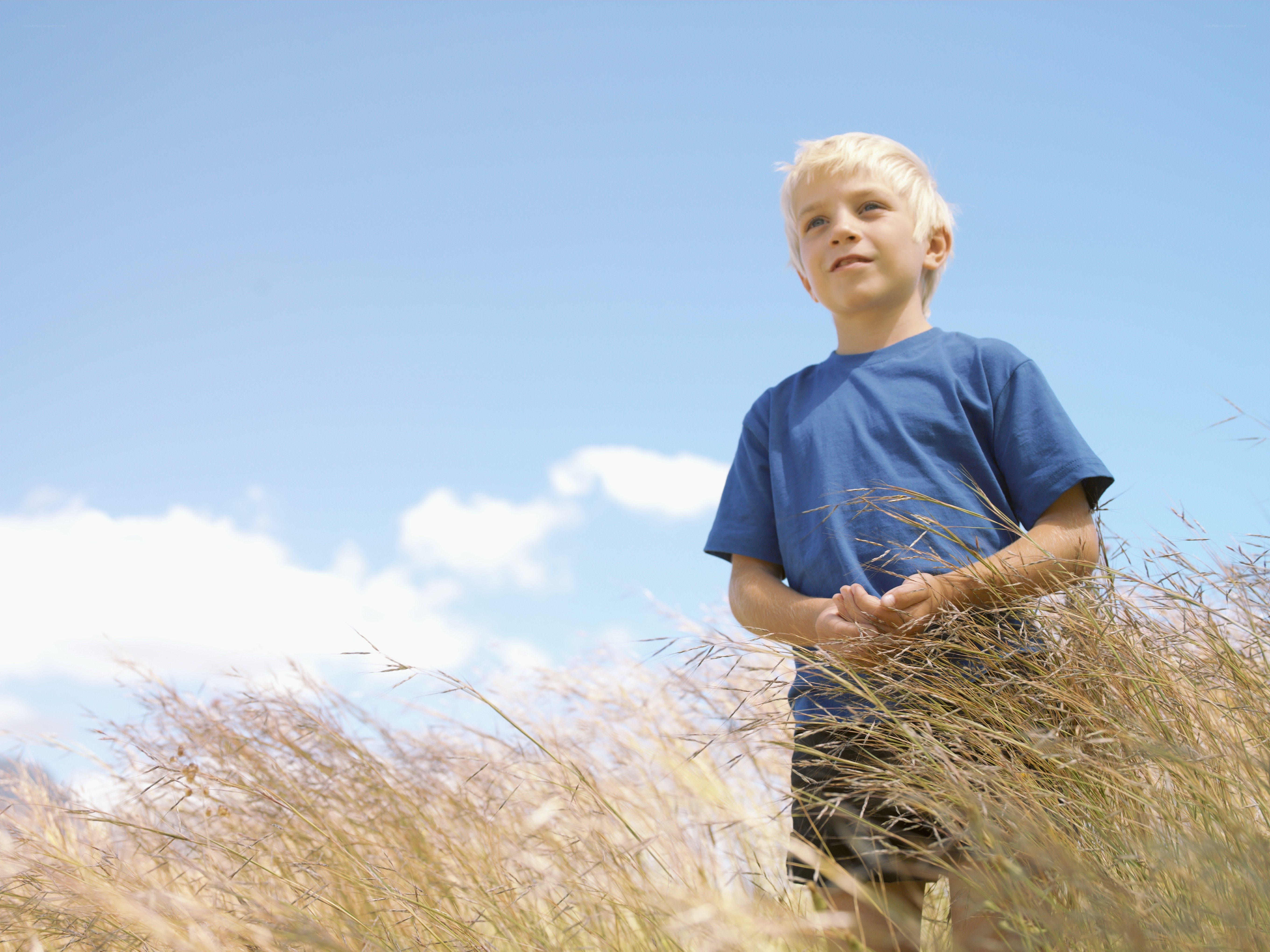 Boy in a field of tall grass