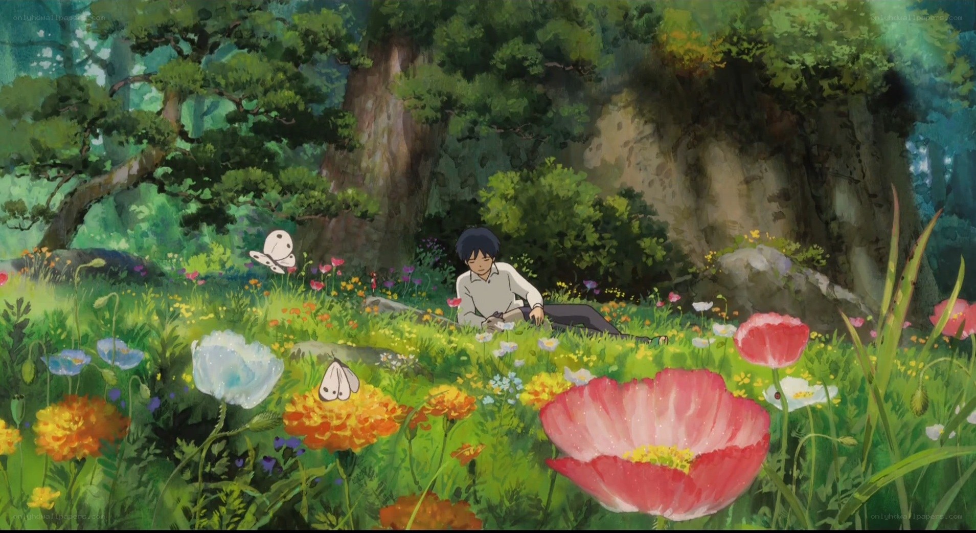 Boy in a flower field